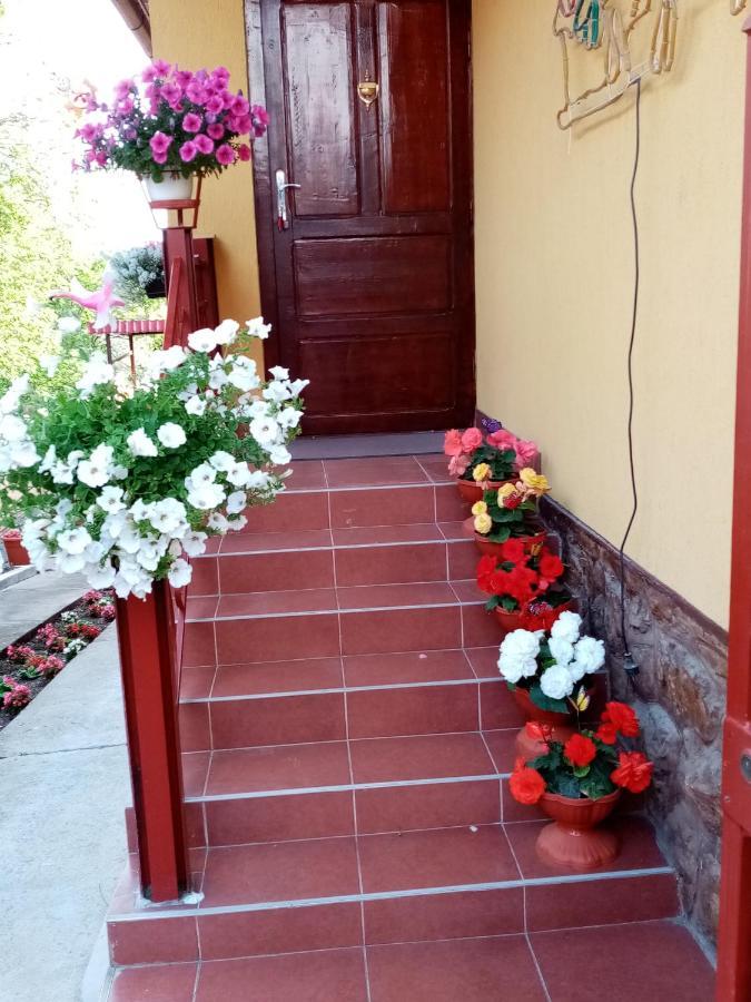 Casa Voica Apartamento Turda Exterior foto