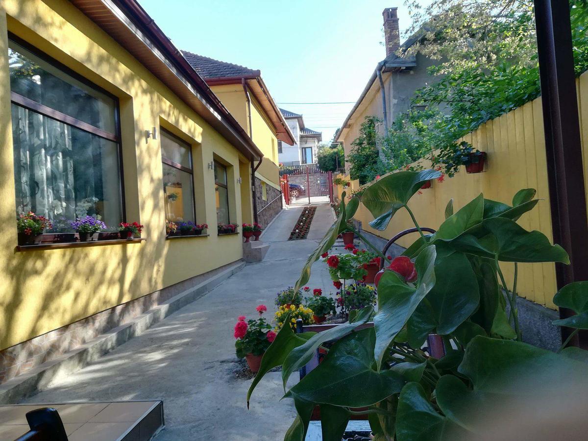 Casa Voica Apartamento Turda Exterior foto