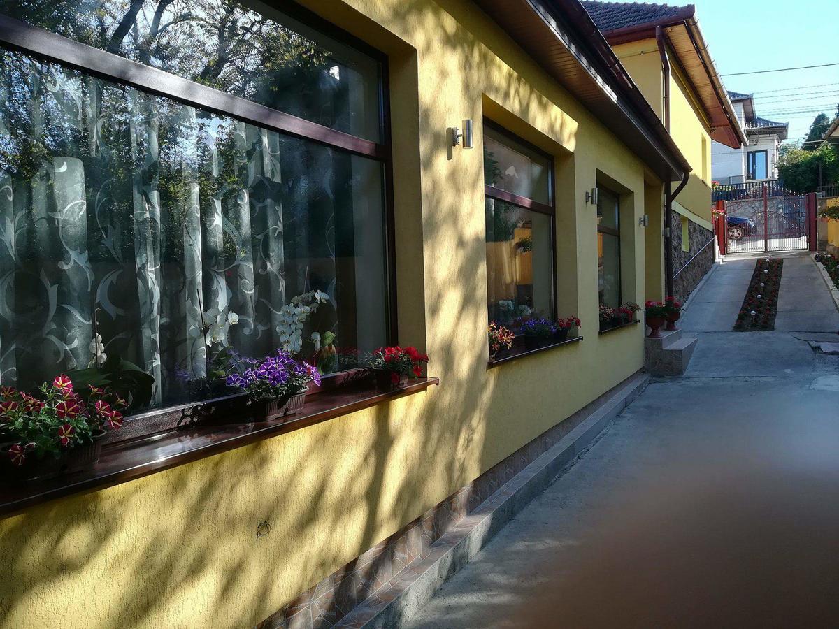 Casa Voica Apartamento Turda Exterior foto